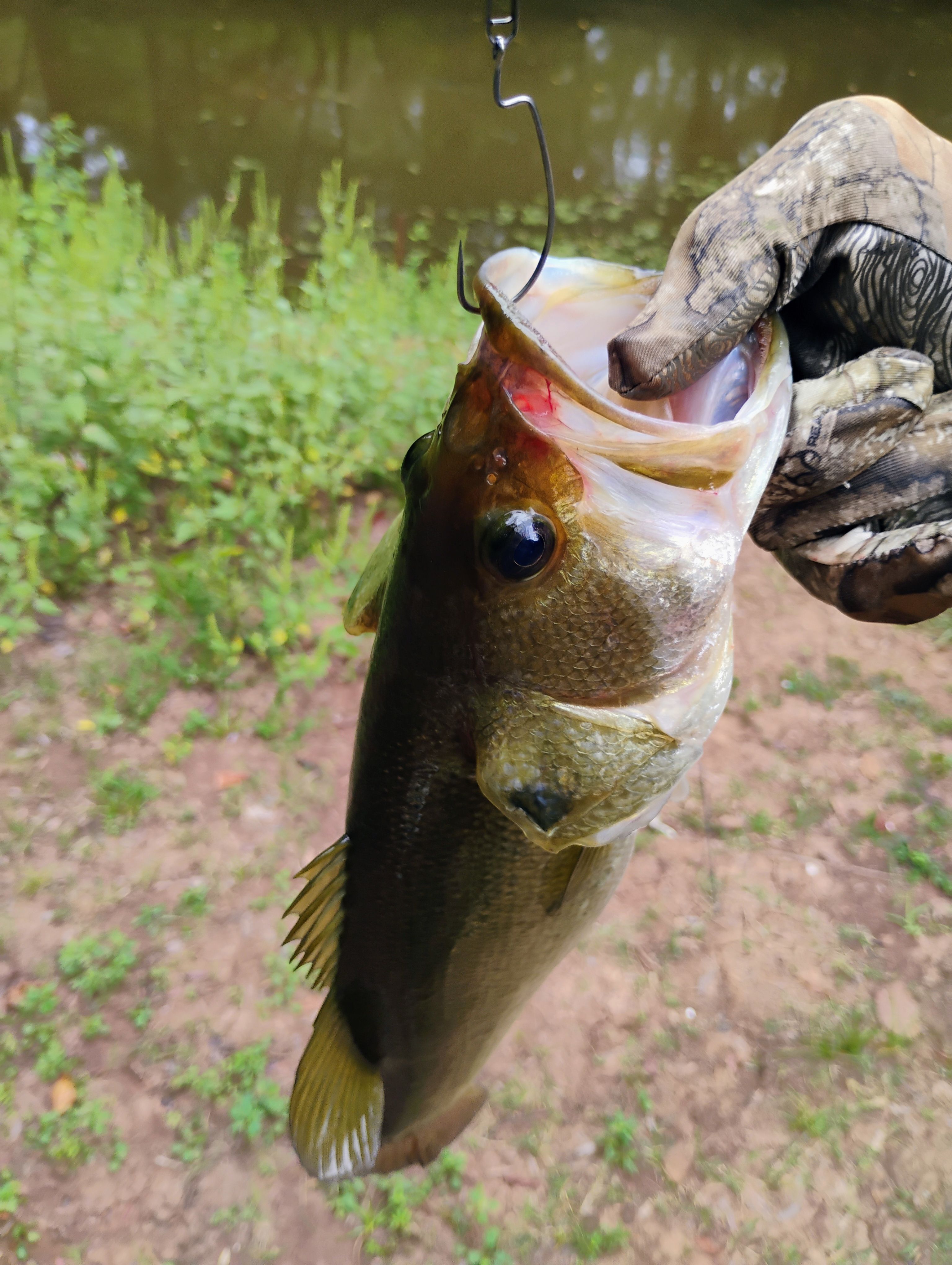 Fusion19™ EWG Hooks | Berkley Fishing®