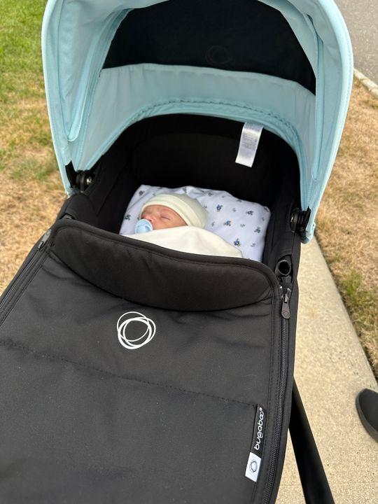 Bugaboo Dragonfly Complete Stroller +