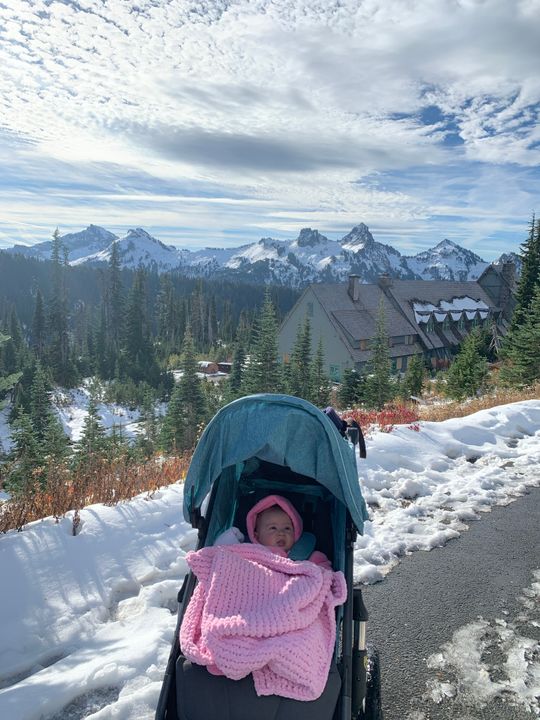 Bob Gear Alterrain Pro Stroller Pish Posh Baby