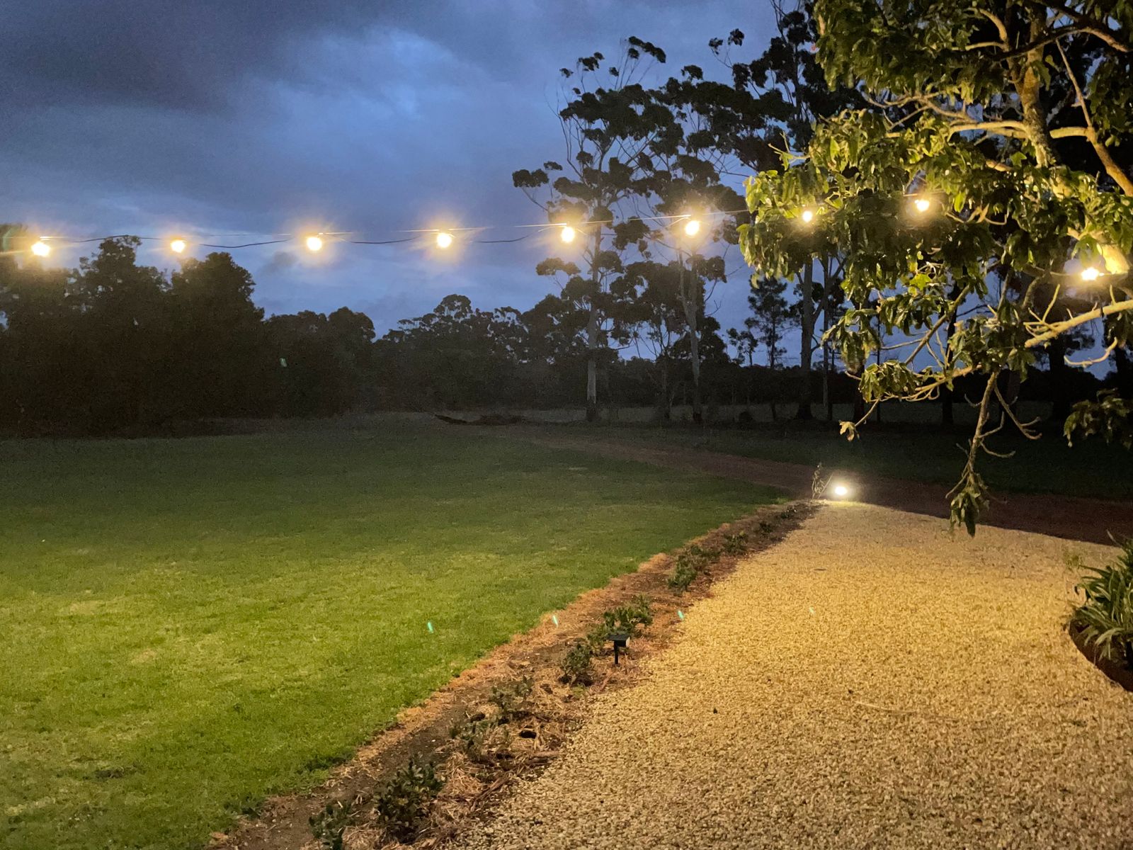 10 or 20m Festoon Lights Kit Filament Bulbs Included Outdoor DIY