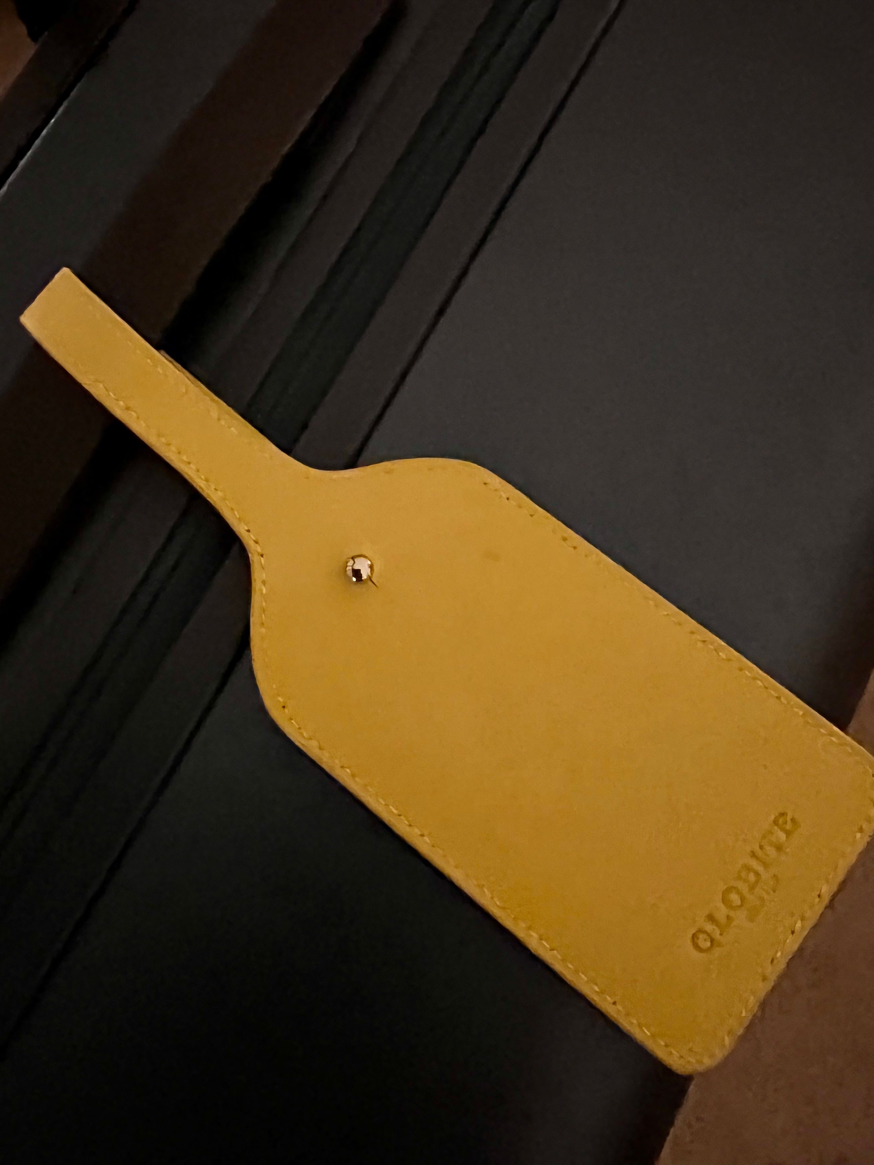 Squash Orange Leather Luggage Tags | Globite