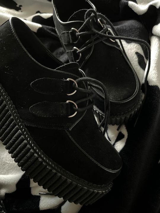 DEMONIA "Creeper101" Creepers Black Suede Demonia Cult