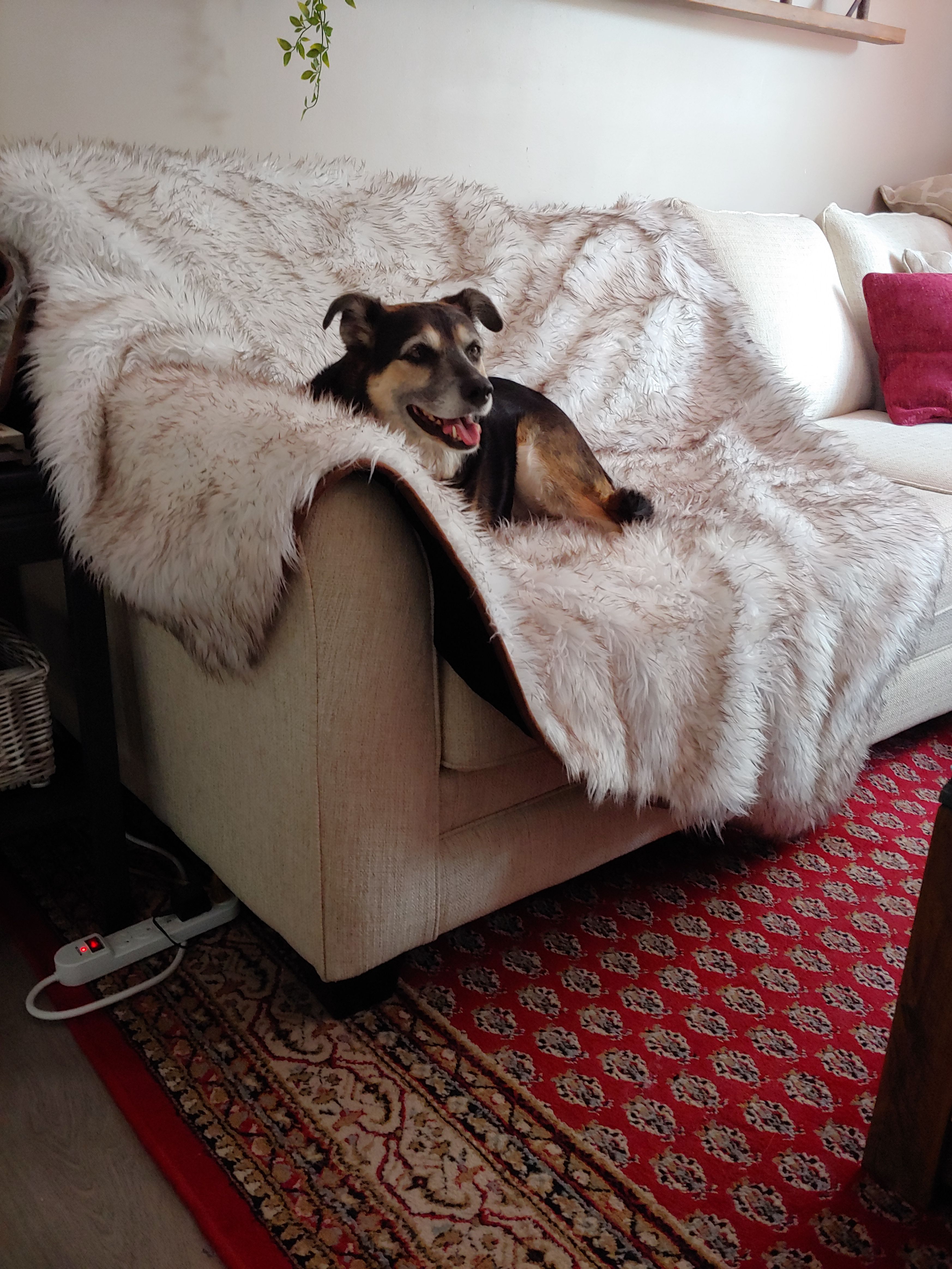 Luxury Throw Blanket for Dogs Cool Comfort Waterproof Dog