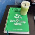 The Guide to Becoming Alive – Flamingo Estate