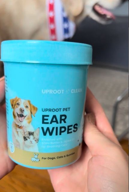 petsmart ear wash