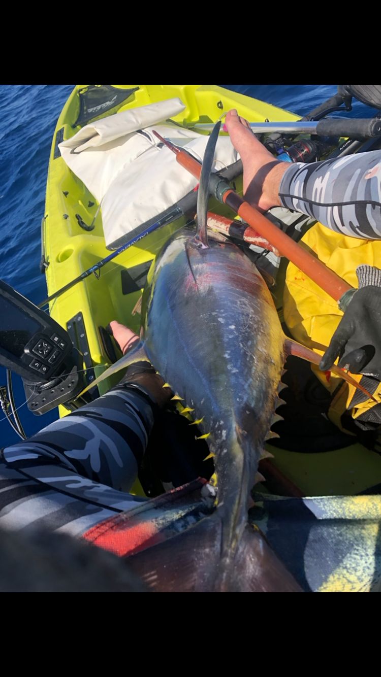 ロッド BIG TUNA 76 JAPAN Special Ripple Fisher Big Tuna 76 Japan Special Xmas Edition – GT FIGHT CLUB