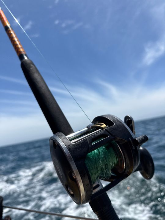 Inshore Rod Best Saltwater Fishing Rods For Beginners Deep Sea