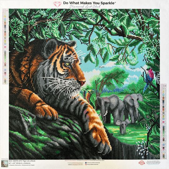 Tiger on a Rock – Diamond Art Club