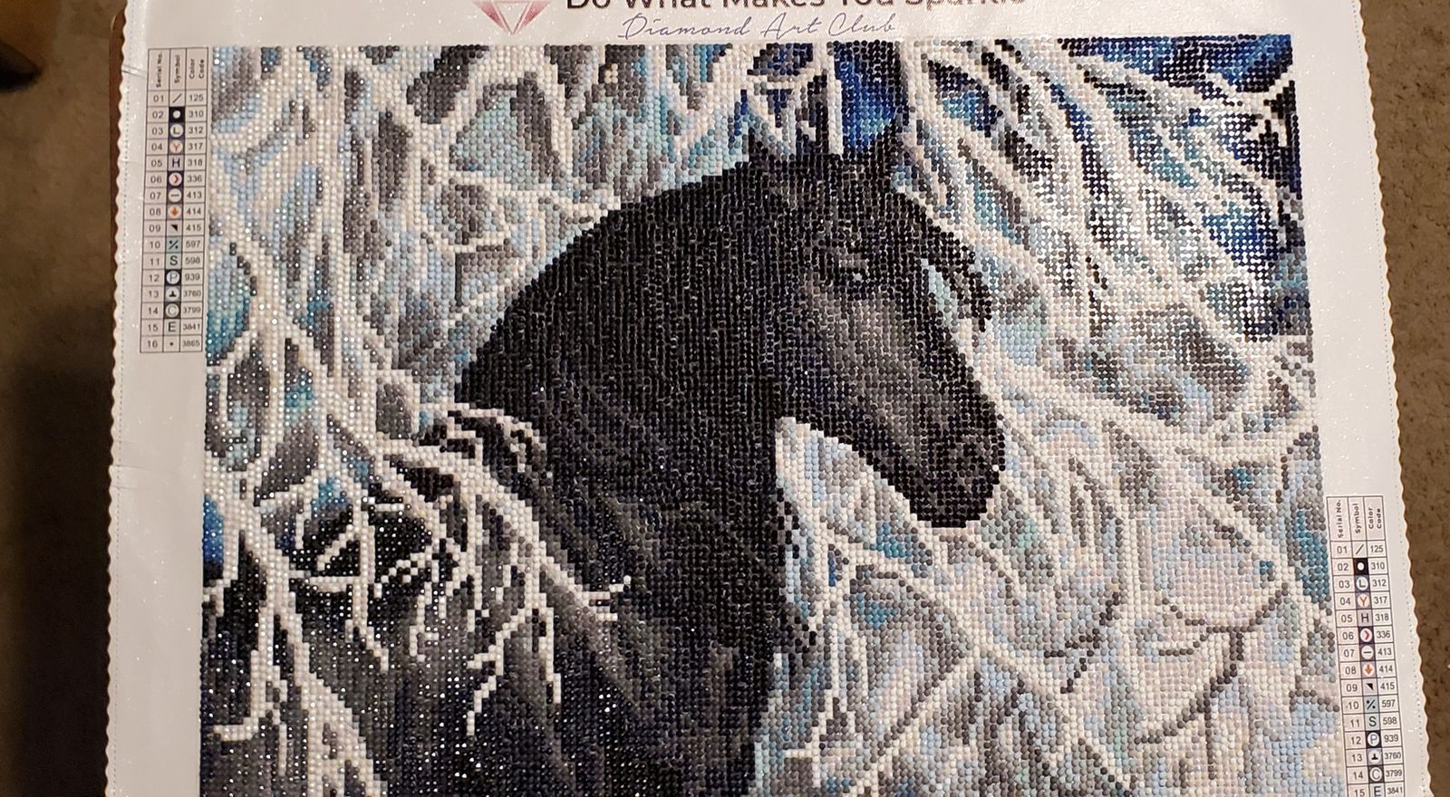 Black and White Diamond Painting Diamond Art Club™