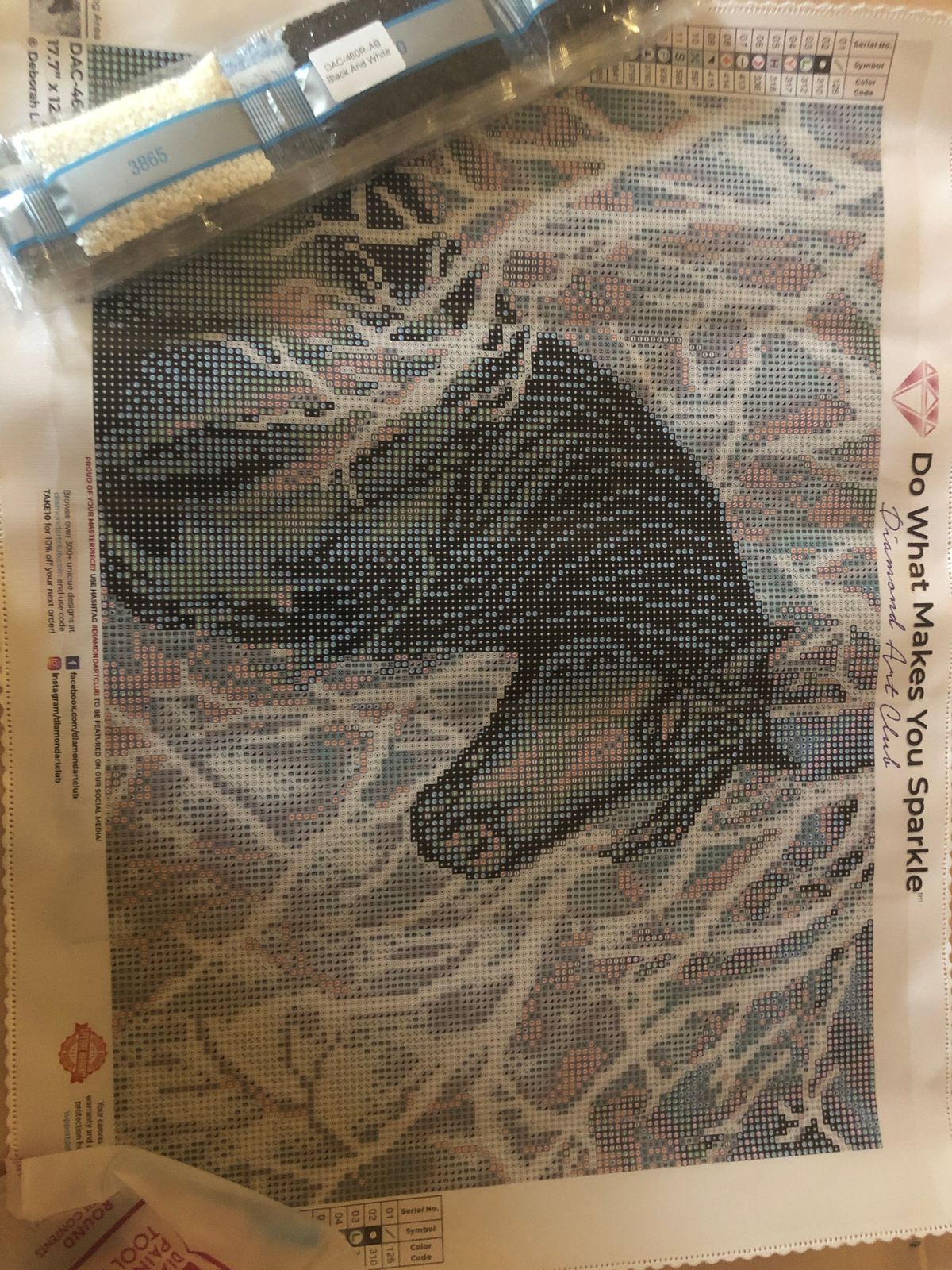 Black and White Diamond Painting Diamond Art Club™