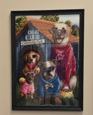 Funny  DIAMOND☆DOGS Diamond Doge