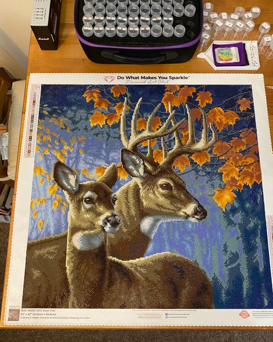 Deer Pair – Diamond Art Club