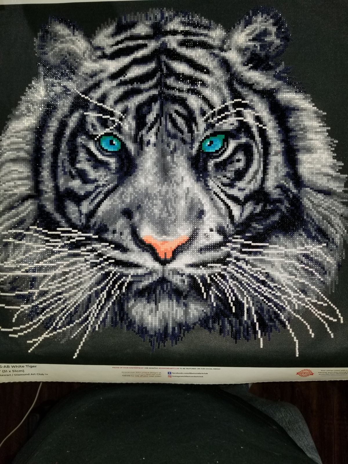 White Tiger Diamond Art Painting | Diamond Art Club
