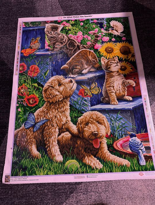 ダイヤモンドアートクラブ　Step Siblings Step Siblings – Diamond Art Club