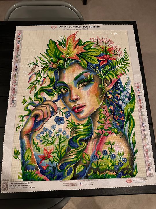 Mushroom Forest – Diamond Art Club