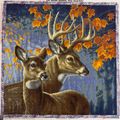Deer Pair – Diamond Art Club