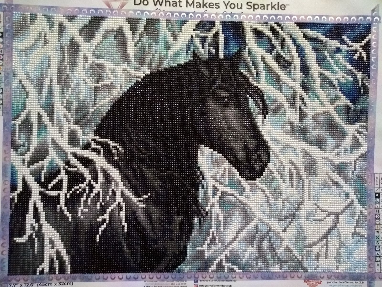 Black and White Diamond Painting Diamond Art Club™