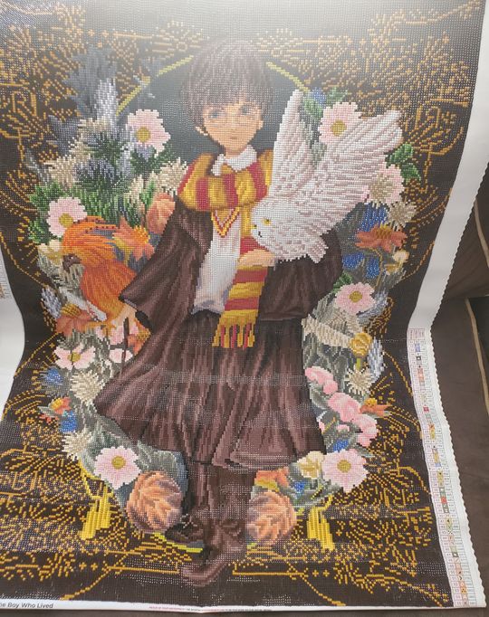 DAC ダイヤモンドアートクラブ The Boy Who Lived The Boy Who Lived Diamond Painting | Diamond Art Club®