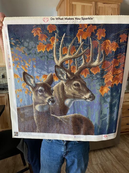 Deer Pair – Diamond Art Club