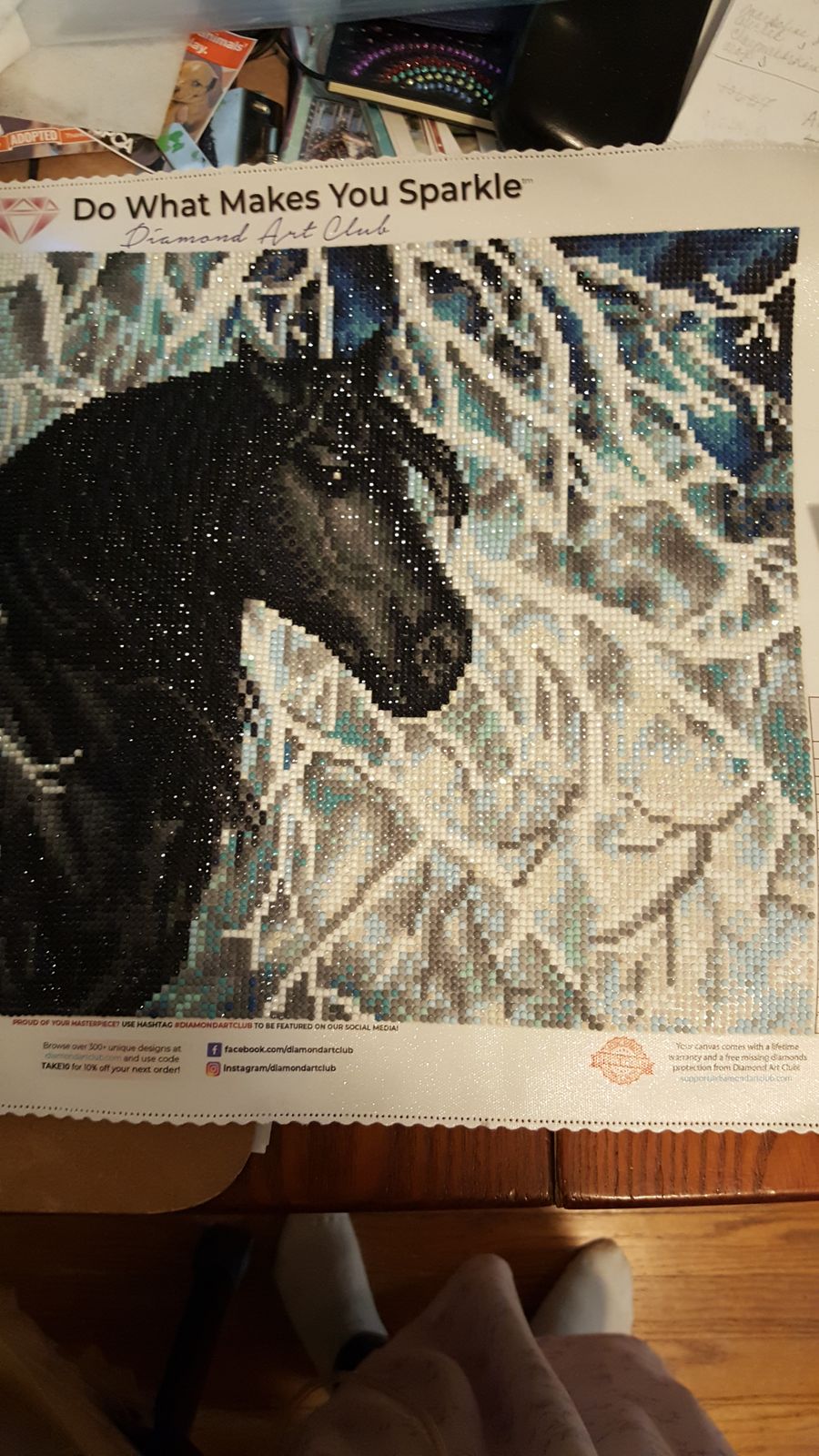 Black and White Diamond Painting Diamond Art Club™