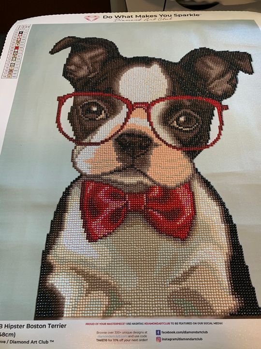 Hipster Boston Terrier Diamond Art Club