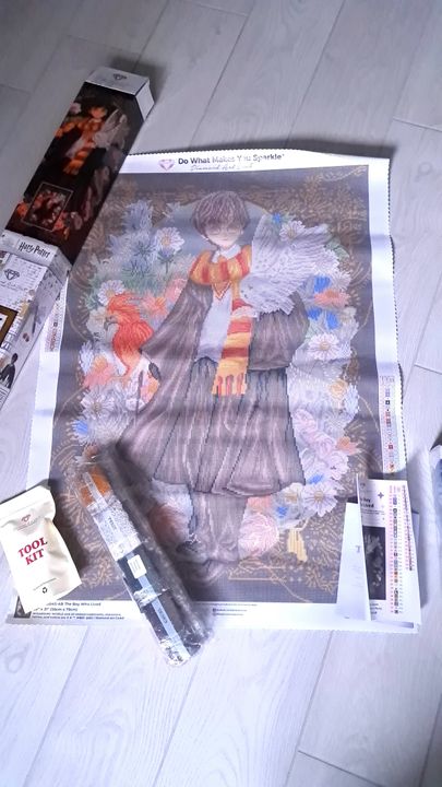 DAC ダイヤモンドアートクラブ The Boy Who Lived The Boy Who Lived Diamond Painting | Diamond Art Club®