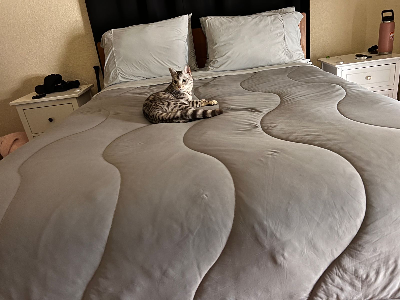 down alternative comforter reddit
