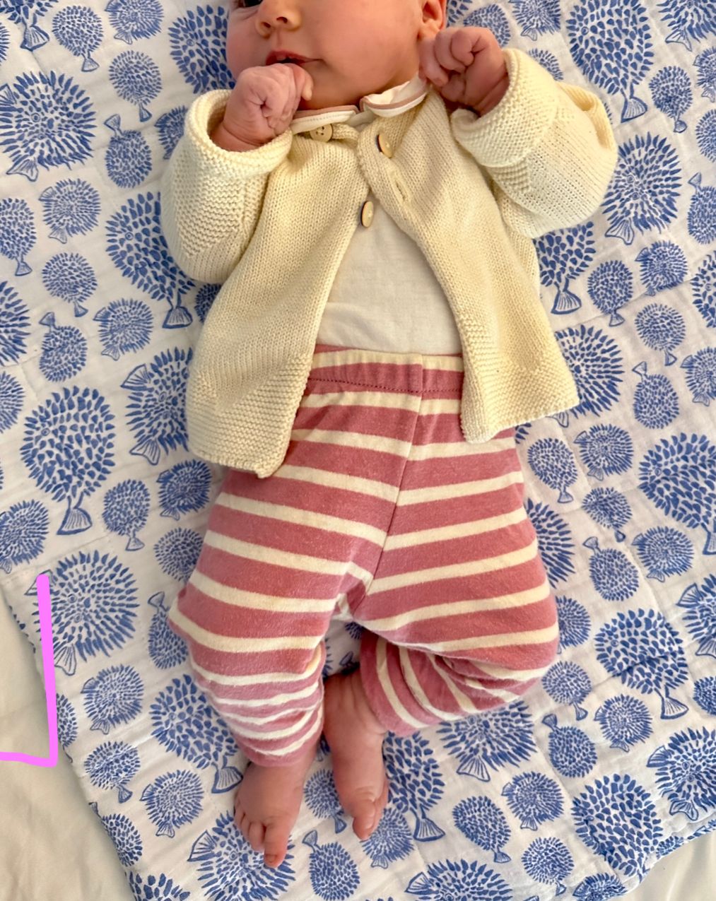 ボトムス Soor Ploom Legging Meadow Print-2y IMG-2974_2400x.png?v=1697984739