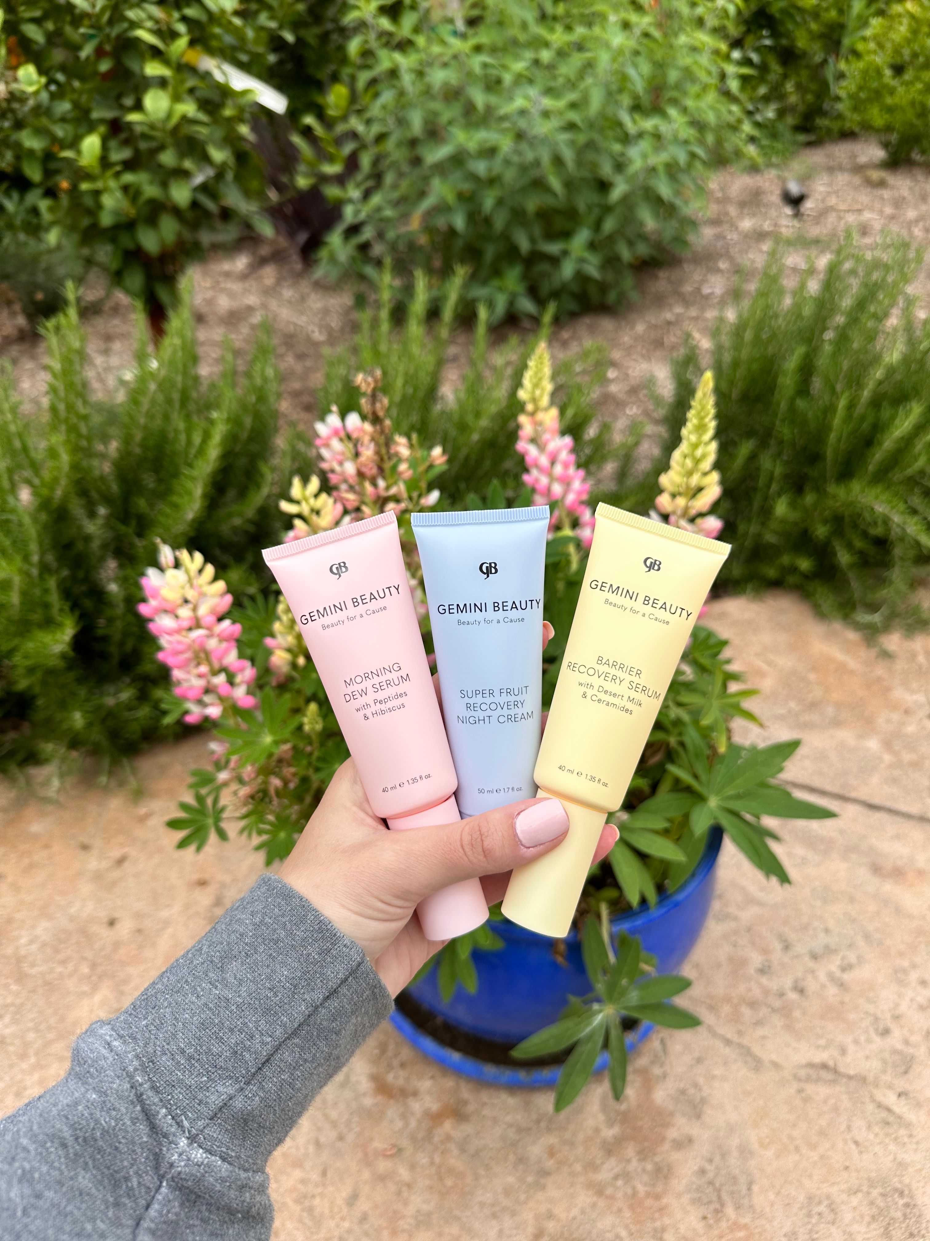 3点、Rセラム、ラムース、ニュイ 3点、Rセラム、ラムース、ニュイ 3点、Rセラム、ラムース、ニュイ