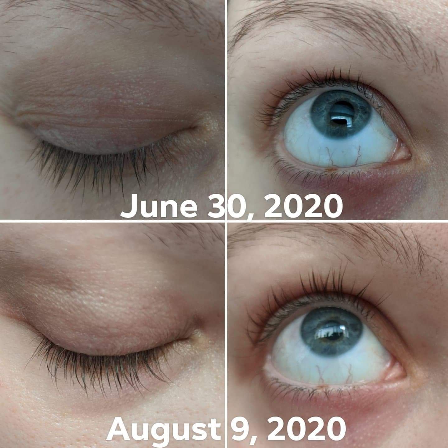 Lash Growth Serum Silly