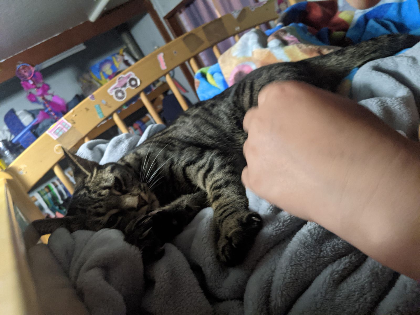 The Cuddle Puddle UnHide