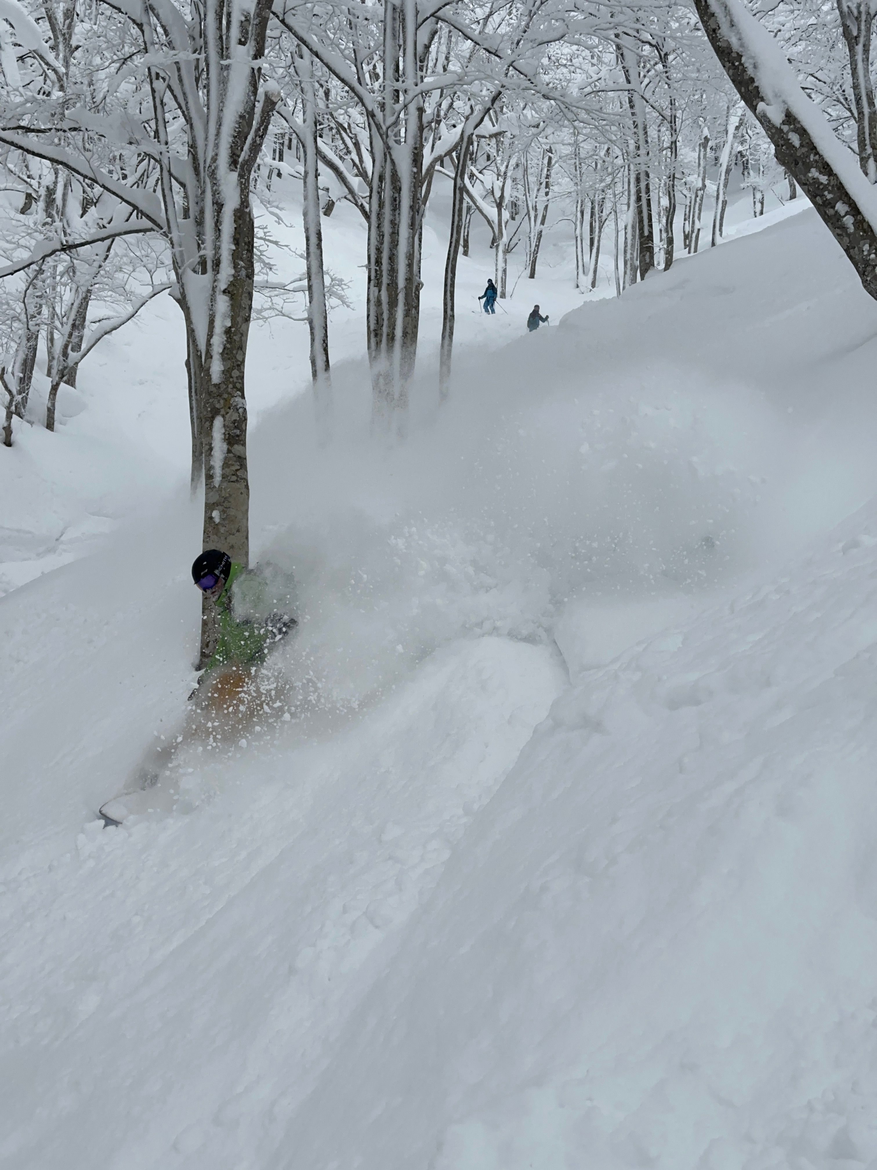 Day Dreamer Snowboard | Winterstick | Premium Snowboard
