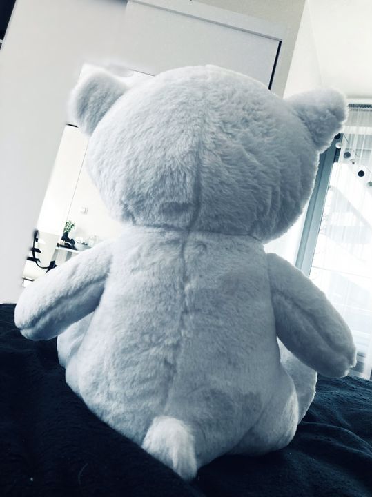 人気ブランド♪ ★ BLVCK PARIS ★ WHTE TEDDY BEAR - Small Blvck Paris | White Teddy Bear