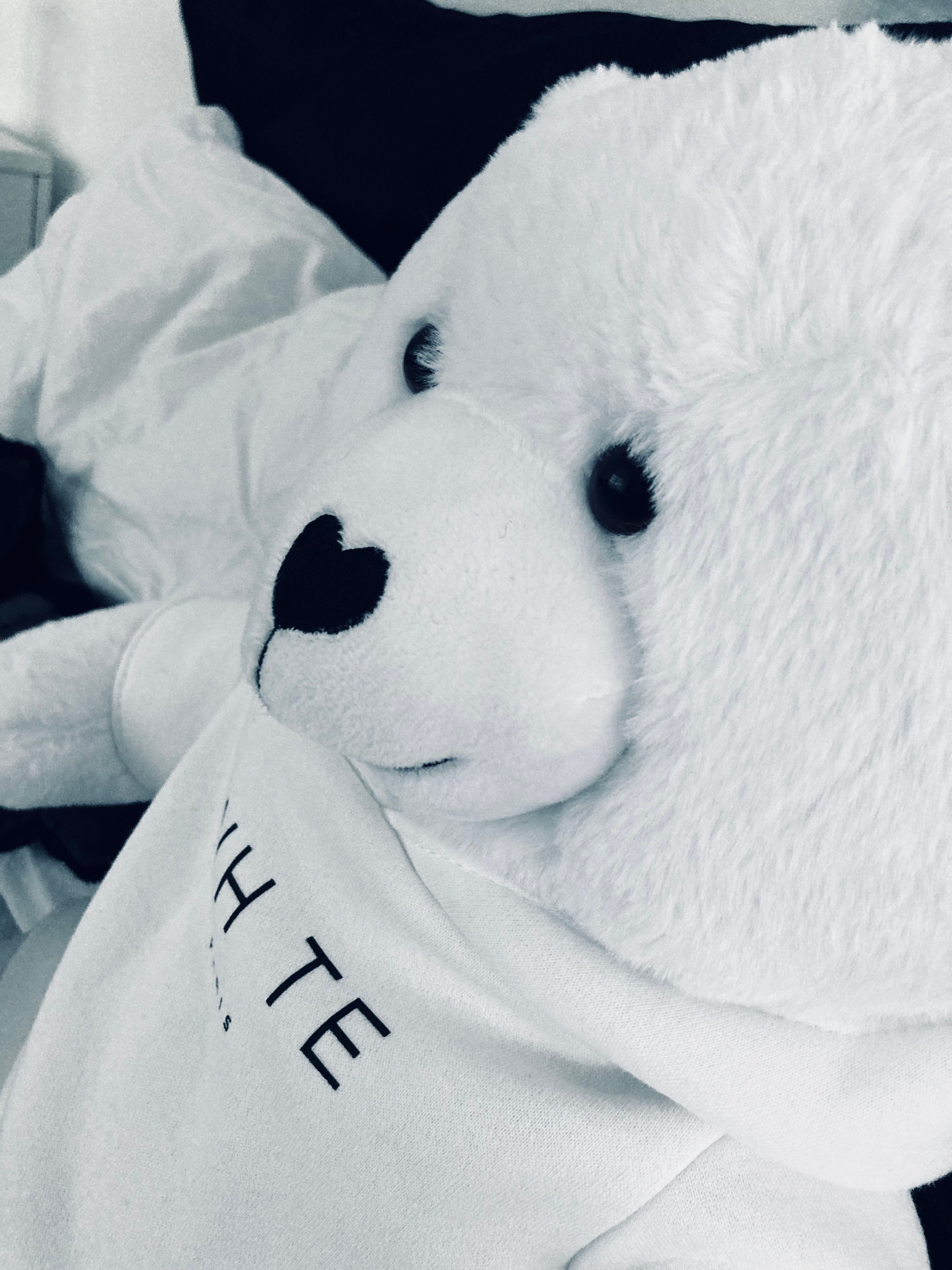 人気ブランド♪ ★ BLVCK PARIS ★ WHTE TEDDY BEAR - Small Blvck Paris | White Teddy Bear